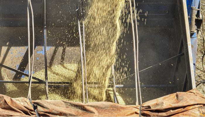 Venda de soja impulsionou a balança comercial do Paraná no primeiro quadrimestre